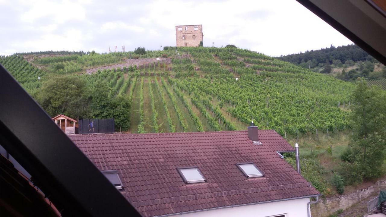 Giebelzimmer Mit Weinbergblick Штеттен Экстерьер фото